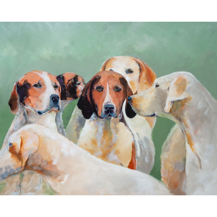 Hounds Looks Who Looking